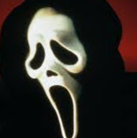 Meet your Posher, Izzy - Picture 1 of 1